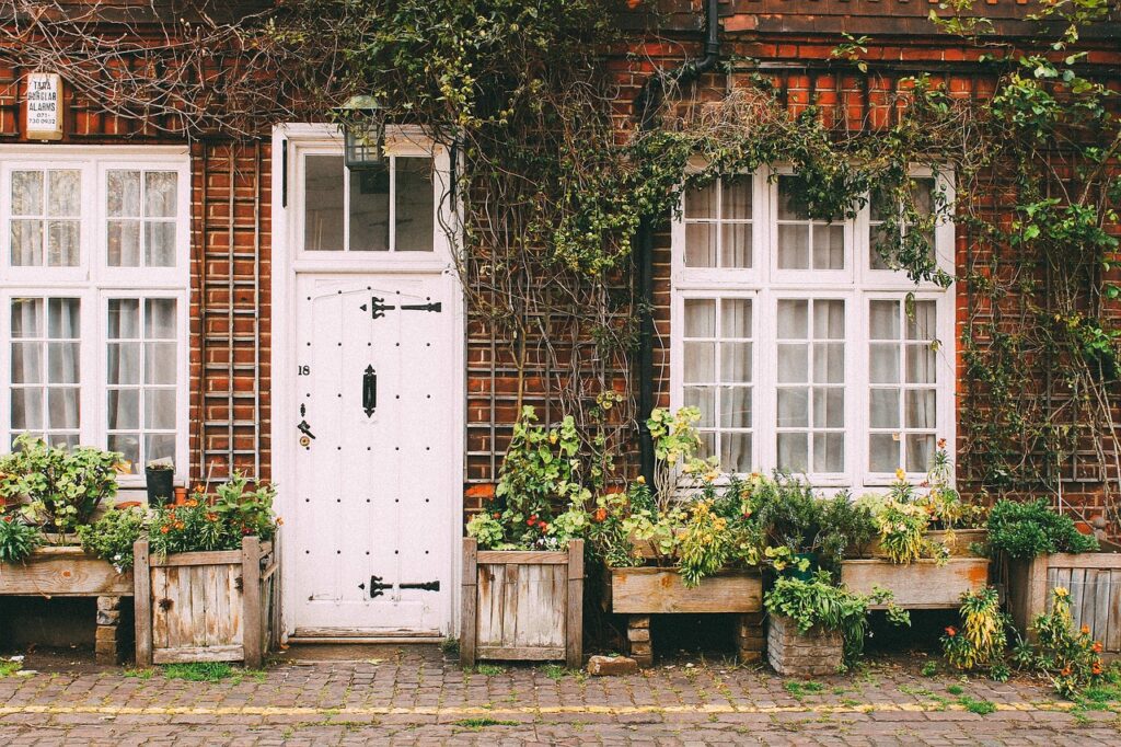 A charming old house covered in creeping vines and surrounded by lush greenery. A white, rustic front door is flanked by large windows, with planters filled with a variety of plants on the ground.